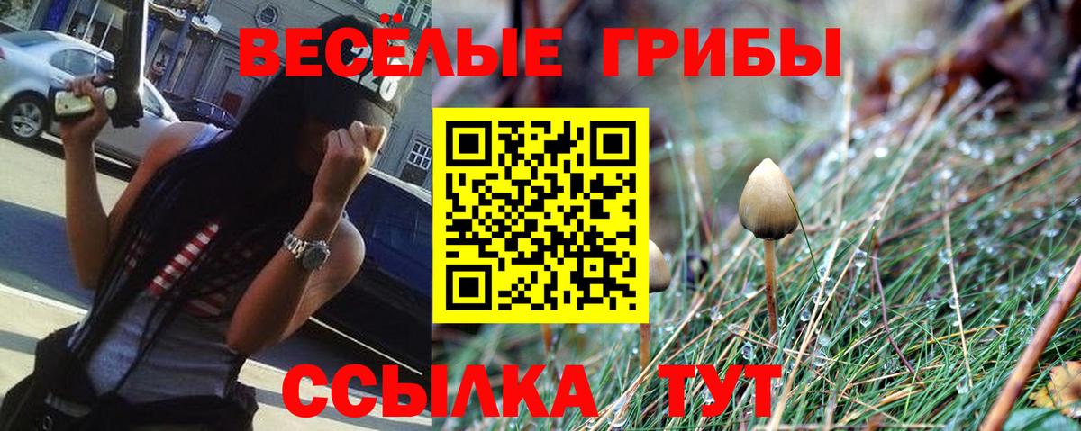 Галлюциногенные грибы Psilocybe  Вход с VPN  Симферополь 